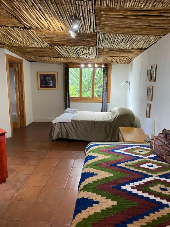Jenna'S River Bed And Breakfast Jucayná Dış mekan fotoğraf